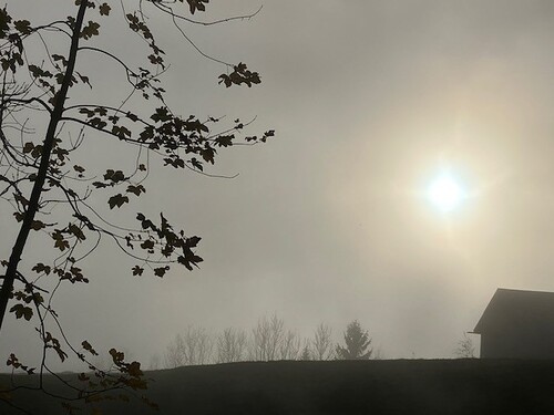 Frauengang Andelsbuch