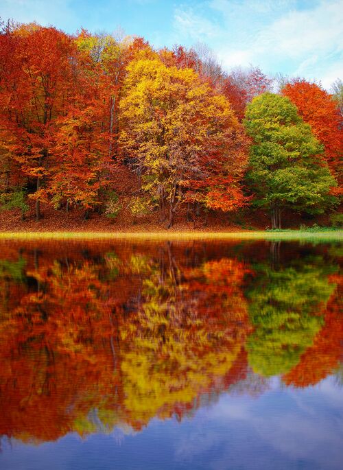 Foto von Valentin S: https://www.pexels.com/de-de/foto/herbst-hd-wallpaper-589808/
