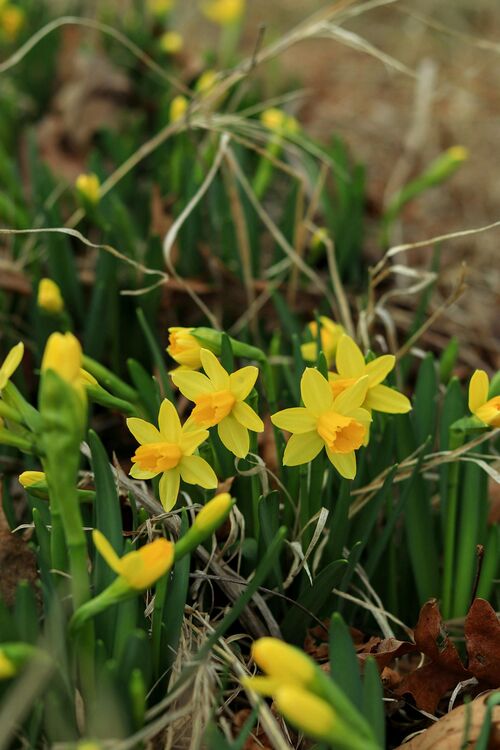 Foto von Tristan Wilson: https://www.pexels.com/de-de/foto/36596465/