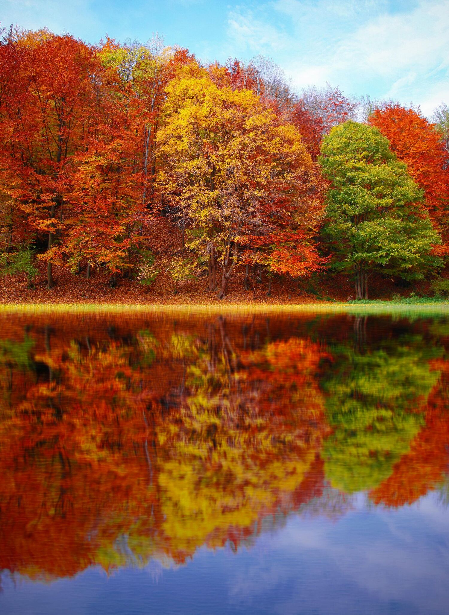 Foto von Valentin S: https://www.pexels.com/de-de/foto/herbst-hd-wallpaper-589808/